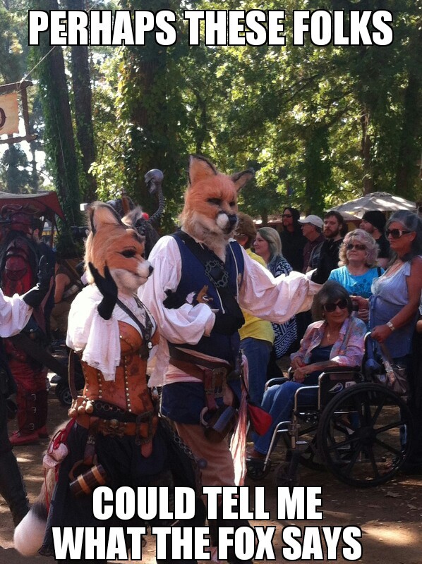 fox - meme