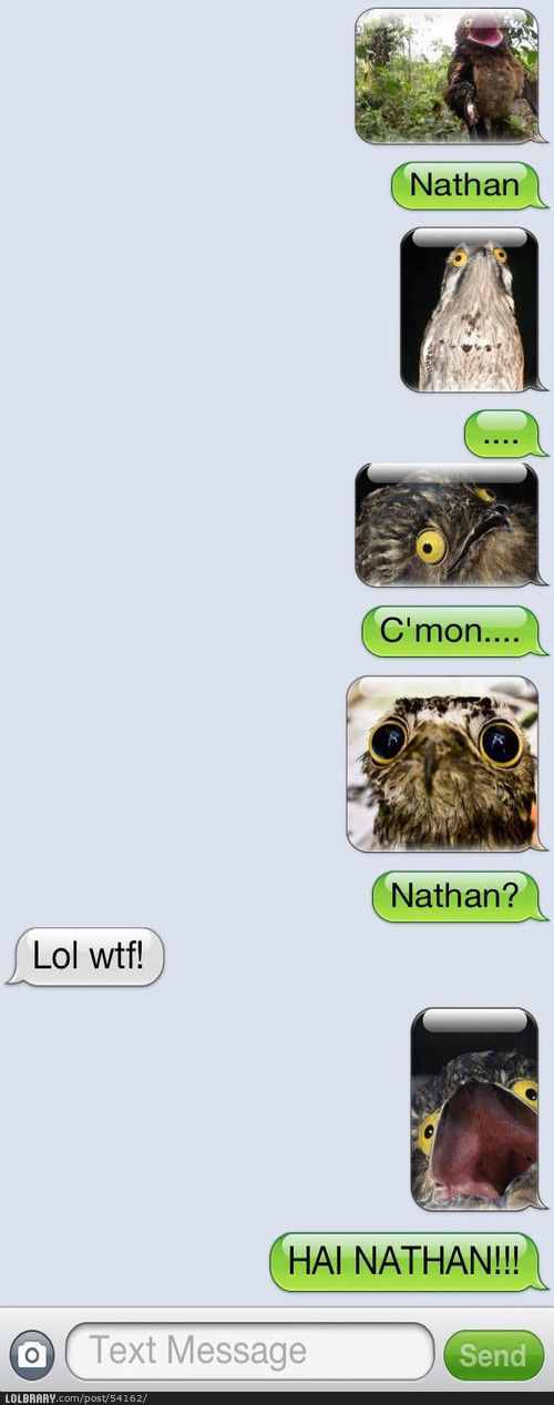 NATHAN! - meme