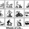 wheels of life