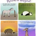 animals and their facts.
