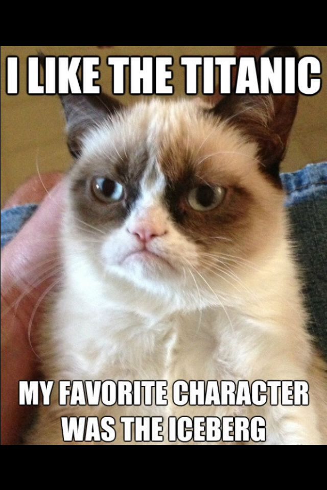 Such Grumpy, Very Cat - meme