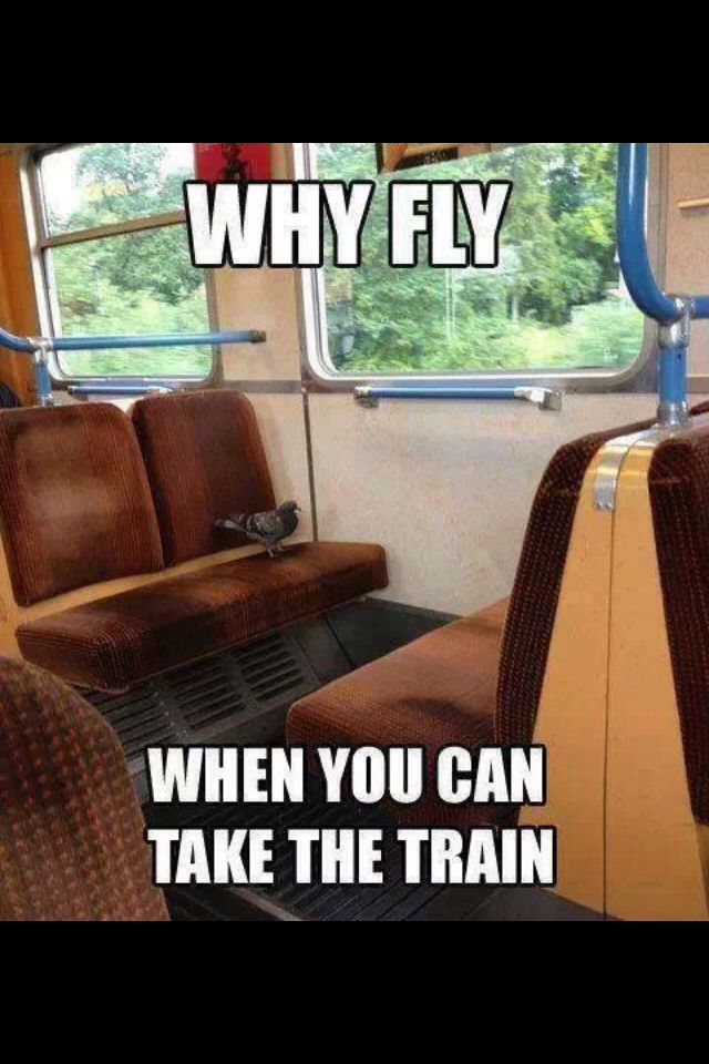 Bird on a train - meme