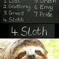 burn sloth burn