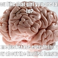 Troll brain ._.