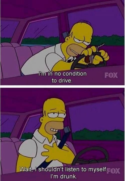 Homer's facts - meme