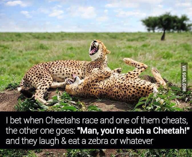 Ur a cheetah - meme