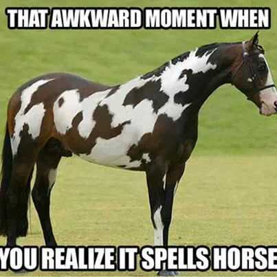 Horse horse horse horse horse...............................................................horse - meme
