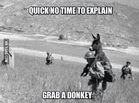 grab a donkey - meme