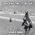 grab a donkey