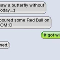 Red Bull doesn't always give you wings...