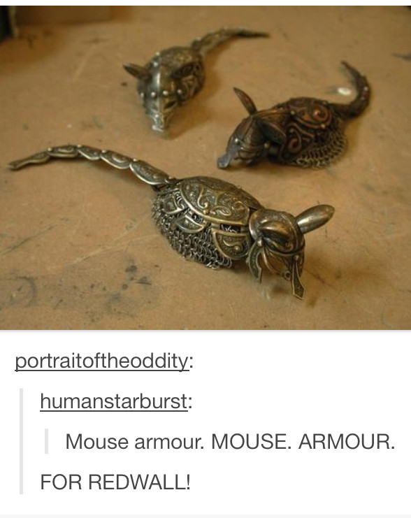 armour... for mice - meme