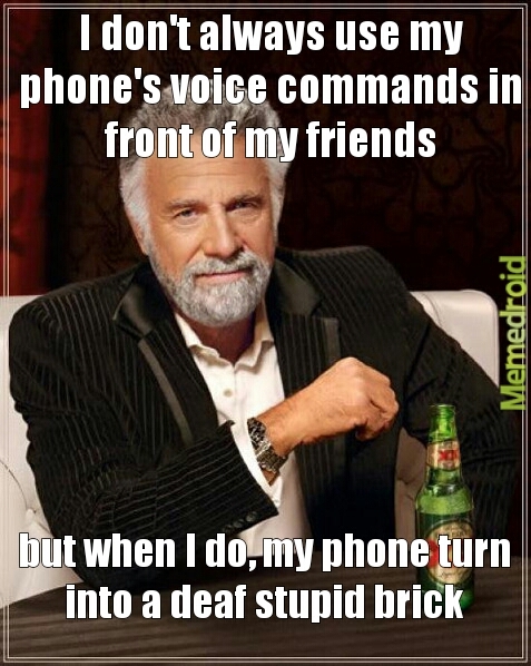 voice commands - meme