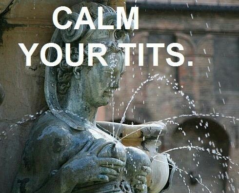 Calm your tits - Meme by soydolphin :) Memedroid