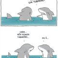 conversa entre tubarões