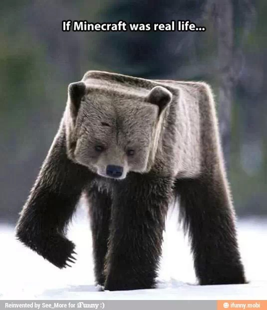 Minecraft  - meme