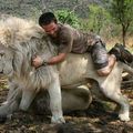 if i ever become this lion i will give everyone 3 free hugs