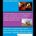 curiosidades