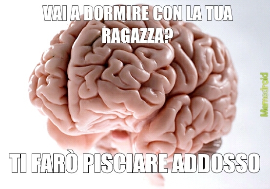 cervello - meme