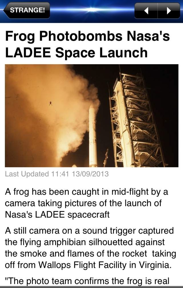 frog photobombs nasa rocket launch