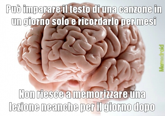 Stupido cervello -_- - meme
