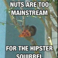 Squirrels