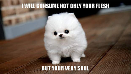 It's ok you can have my soul. - meme