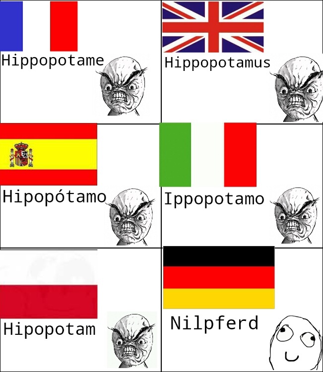 Hippopotame - meme