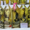 cocktail with snake and scorpions...!!