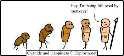 Monkeys - meme