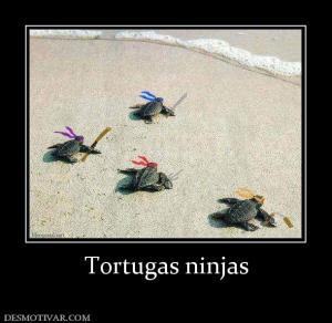 tortugas ninjas - meme