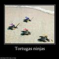 tortugas ninjas