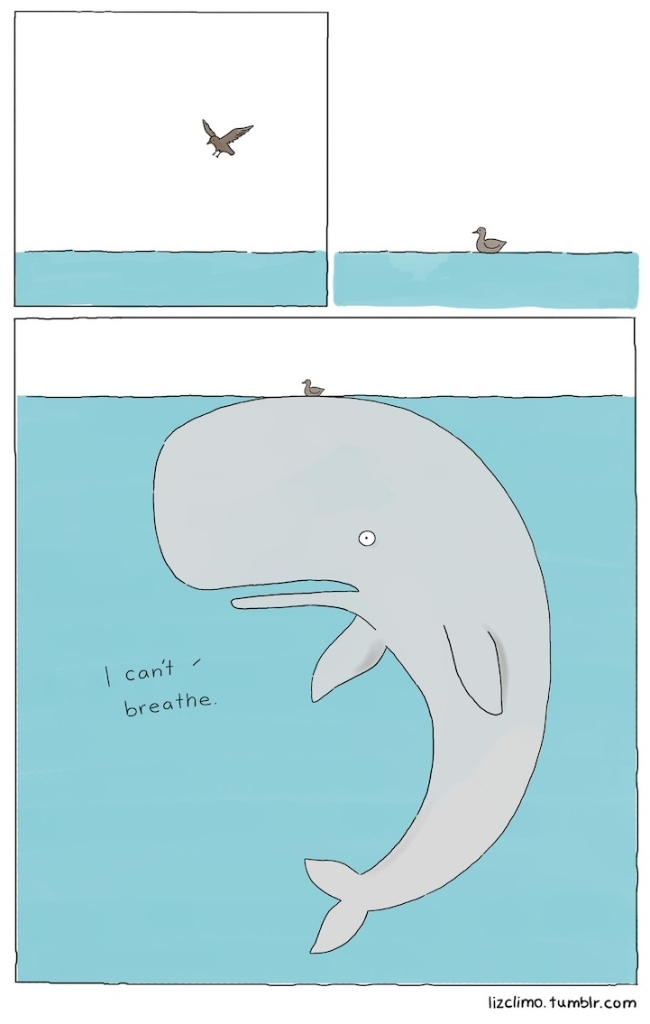 A whale of a problem - meme