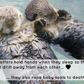Otters y u do dis?