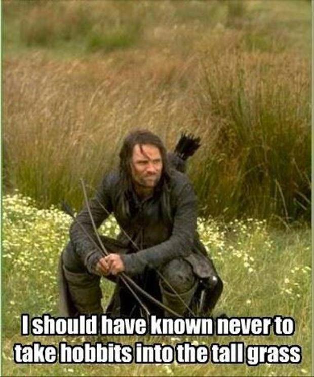 Aragorn - meme