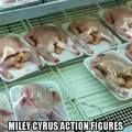 Title ate fried miley cyrus figure