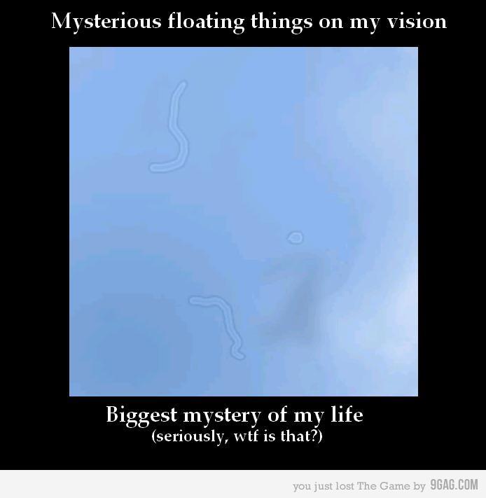 A mystery is something. Float things. Floating things. Its a Floater meme. Everything is Floating.