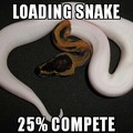snakes don't come with a ssd