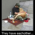 ==> THIS IS WHY I CHOOSE DOGS THAN CATS