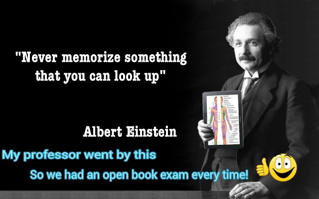 I am Einstein - meme