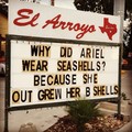 Ariel joke right