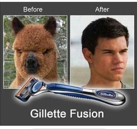 gillete fusion - meme