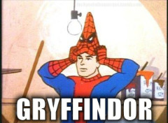 spiderman se pasa a GRYFFINDOR - meme