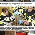 Faith in humanity restored...