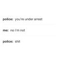 Silly police