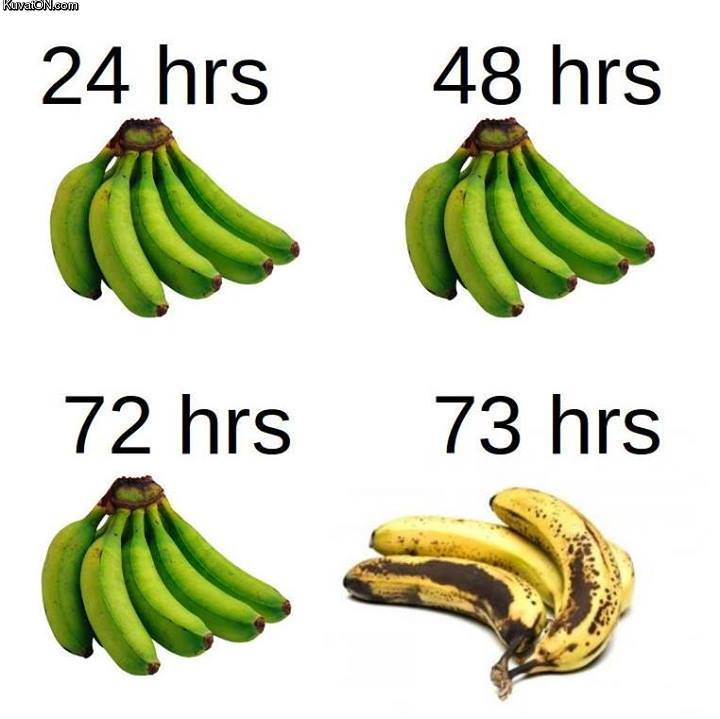banana is not amused - meme