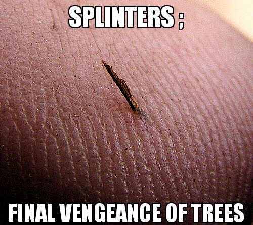 got 3 splinters from woodshop class today - meme
