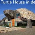The Turtle House in desert