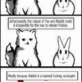 damn bunny