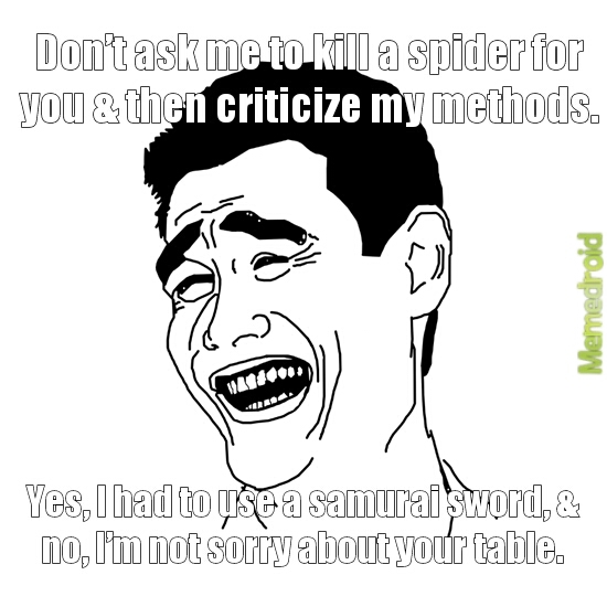 spiders ._. - meme