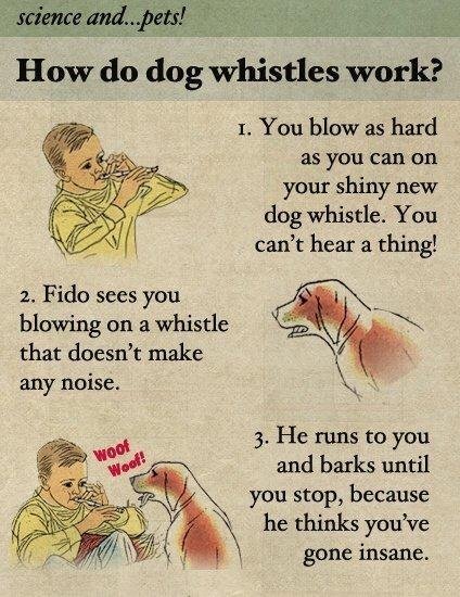 dog whistle logic.. - meme